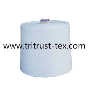 100% Polyester Fils à coudre (3 / 20s)